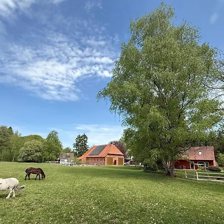 Ferienhaus Haus Zur Pferdekoppel